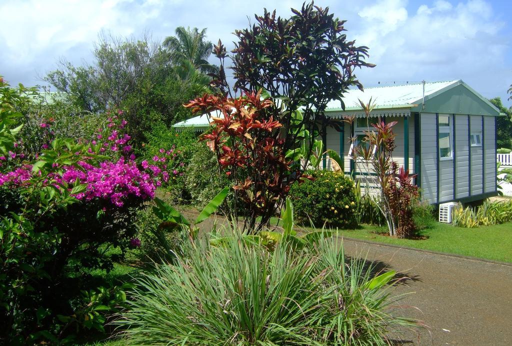 Les Fruits De Goyave